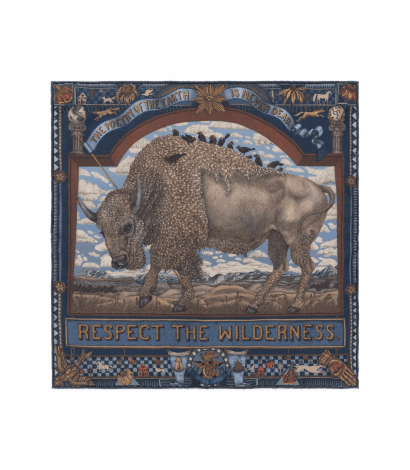 Secrets of the Bison